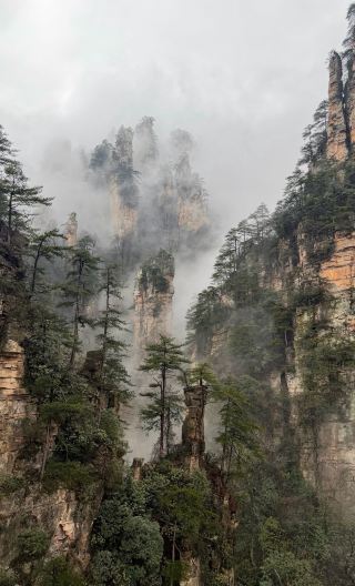 3D2N • High speed rail to Fenghuang Ancient City + Avatar Mountain + Baolong Elevator + Fenghuang Ancient City + Tianmen Mountain National Forest Park