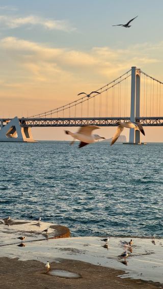 4D3N • Dalian Chat with us to get bettle deal  Dalian and Laohu Beach