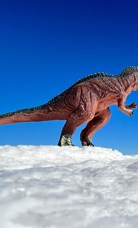 3D2N • Uyuni Express 3 days from Puno Copacabana and Isla del Sol