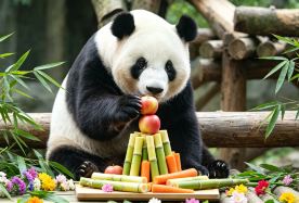 2D1N · Group Tours · Autumn-themed Beijing plan:The Palace Museum + Temple of Heaven: Hutong Rickshaw Tour · 1-night stay at a 5-diamond hotel, No shopping, no optional fees and gratuities included.