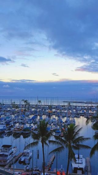 8D7N • Oahu + Hawaii island