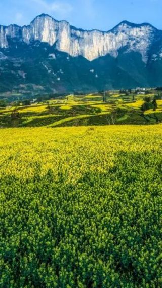 4D3N • Wuhan + Enshi Prefecture + Enshi Grand Canyon Scenic Area