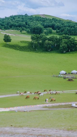 6天5晚 • 2027夏季預售 越野穿越草原 甘丹駝城滑沙·射箭·馬術·蒙古服飾拍照 帆船出海 白樺林餵食馴鹿 避暑山莊 小布達拉 贈導覽 山海關古城