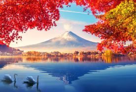 2D1N · Group Tours · Japan + Mount Fuji + Owakudani + Hakone & Kamakura  2-Day Tour (Includes 1-Night Hot Spring Hotel Stay) · Limited Time Offer | Consult customer service for an instant 2% discount. Visit sacred Mount Fuji, take an anime-themed tour in Kamakura featured in Slam Dunk, and admire the iconic torii gate of popular shrines in Hakone. Enjoy full-day accompaniment by Chinese or English-speaking driver-guides throughout the trip.