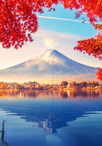 2D1N • Japan + Mount Fuji + Owakudani + Hakone & Kamakura  2-Day Tour (Includes 1-Night Hot Spring Hotel Stay)
