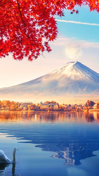 2D1N • Japan + Mount Fuji + Owakudani + Hakone & Kamakura  2-Day Tour (Includes 1-Night Hot Spring Hotel Stay)