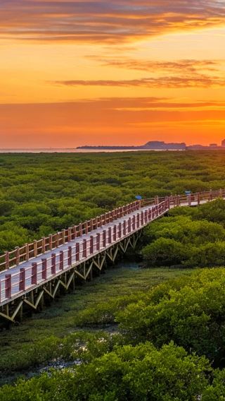 5D4N • China + Guangxi + Nanning + Chongzuo + Detian Transnational Waterfall Scenic Spot + Beihai + Weizhou Island