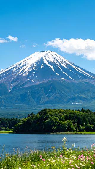 3D2N • Tokyo Coastal Odyssey: Kamiiso Torii + Hitachi Seaside Park + Ushiku Great Buddha + Fuji Heritage Center + Kawaguchiko + Takao 599 Museum