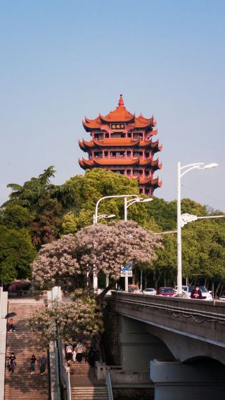 6天5晚 • 杭州＋烏鎮＋黃山市＋宏村景區：一站式出行服務，領略江南美景、看盡徽州山水｜24H私享管家｜贈全程飲用水