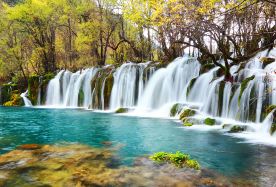 6-day 5-night · Group Tours · Chengdu + Jiuzhaigou National Park + Huanglong National Scenic Area + Chengdu Research Base of Giant Panda Breeding + Mounigou Scenic Area · Explore the natural beauty of Wetland Park and visit cute panda. A serene oasis filled with diverse flora and fauna, providing a perfect backdrop for relaxation.