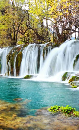 5D4N • Chengdu + Jiuzhaigou National Park + Huanglong National Scenic Area + Chengdu Research Base of Giant Panda Breeding + Mounigou Scenic Area