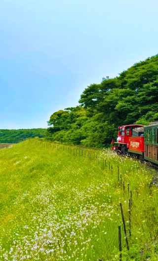 2D1N • Jeju East Route 1-day private car charter - classic itinerary, admission fees not included