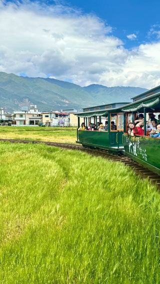 6D5N • No surcharge for Christmas & Flexible and adjustable itinerary: Kunming + Dali + Lijiang - Complimentary bean pod doll making - Stone Forest + Erhai Lake + Yulong Snow Mountain + Blue Moon Valley