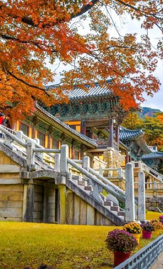 7D6N • Discover Round Korea in 7days: All-Inclusive Experience
