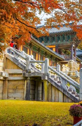 7D6N • Discover Round Korea in 7days: All-Inclusive Experience