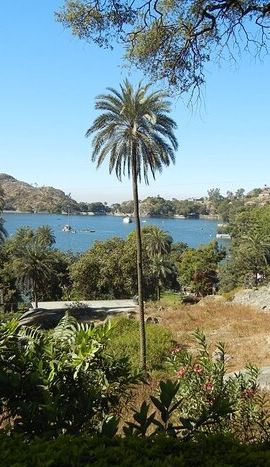 2D1N • Private Transfers 2-Days Mount Abu sightseeing From Udaipur