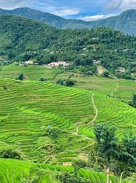 2D1N • Sapa Mountain Escape: 2-Day Trekking, Rice Terraces & Homestay