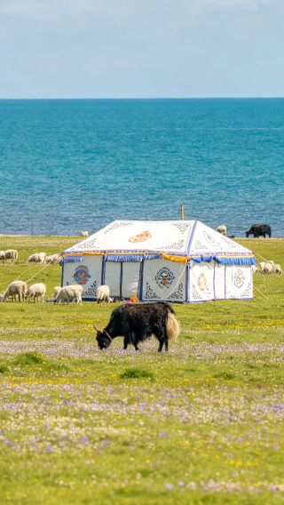 8D7N • Kumbum Monastery + Qinghai Lake + Zhangye Giant Buddha Temple + Pingshan Lake Grand Canyon + Mogao Grottoes
