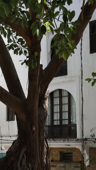 4D3N • Tangier: 4-Day Jewish Heritage Tour with Accommodation