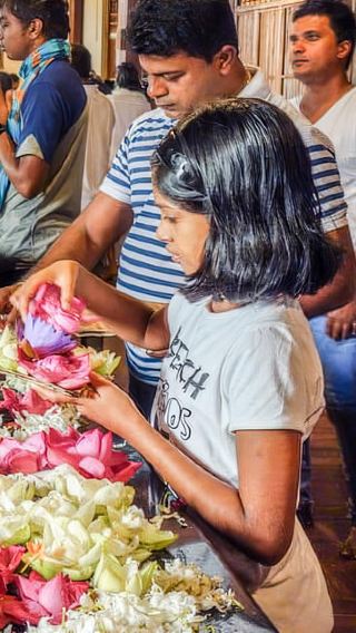 2D1N • From Colombo: 2-Day Kandy Tour with Airport Pickup