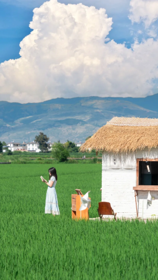 8D7N • Highlights in Yunnan & Must visit: Kunming + Dali City + Lijiang + Shangri-La + Yulong Snow Mountain