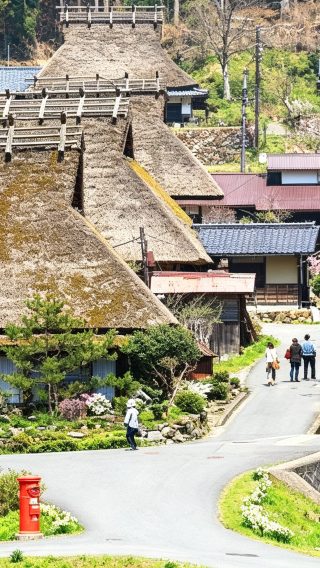 6D5N • Japan Kansai Scenic Discovery: Kyoto, Miyama Kayabuki Village, Amanohashidate, Ine Funaya Boat Cruise and Osaka