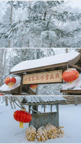 6D5N • Shenyang + Harbin +  Xuexiang National Forest Park