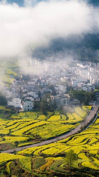 4D3N • Nanchang + Lushan National Park + Jingdezhen + Wuyuan