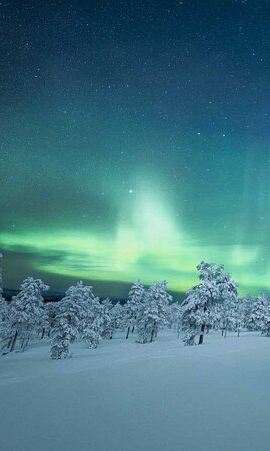 4D3N • 4-Day Aurora Viewing Tour from Whitehorse, Canada