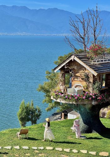 6D5N • Departure Guaranteed, Solo Traveler Accepted : Yunnan+Kunming+Dali City+Lijiang  + No Snow Mountain +1 day Lijiang Free Tour