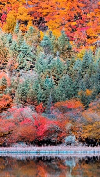 4D3N • Autumn foliage to winter frost: Jiuzhaigou & Huanglong by high-speed rail - all-inclusive with hotel & airport transfer