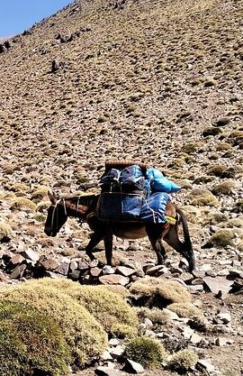 2D1N • 2 Days Trek from Marrakesh Mount Toubkal