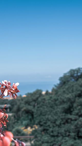 18D17N • Italy, Corsica, Sardinia and Sicily with Rome