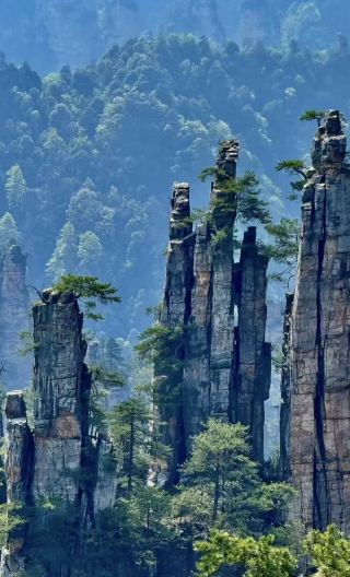 2D1N • Intensive Exploration of Zhangjiajie National Forest Park