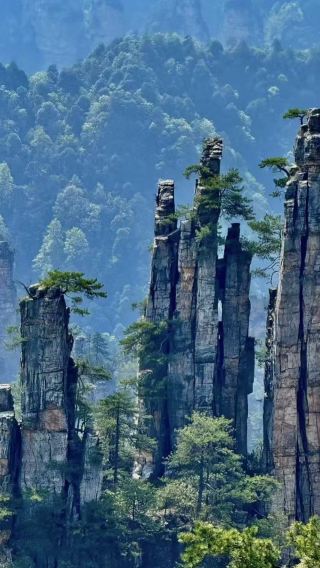 2D1N • Intensive exploration of Zhangjiajie National Forest Park