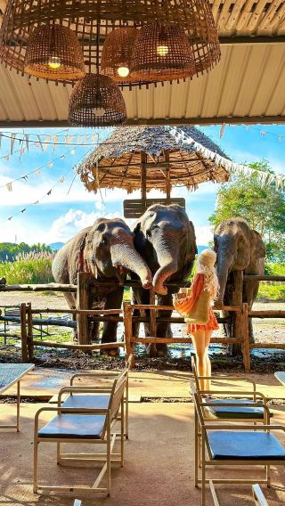 6D5N • A Date with Elephants for Your Little Ones in Phuket, Thailand