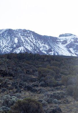 7D6N • 7 Days Kilimanjaro Climbing | Hiking Tour via the Lemosho Route