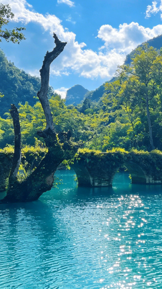 5D4N • China + Guizhou + Huangguoshu Waterfall + Libo Xiaoqikong Scenic Area + Xijiang Qianhu Miao Village + Qingyan Ancient Town
