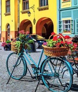 2D1N • 2 Days Private Tour in Transylvania: Brașov, Sighișoara, Top-Gear