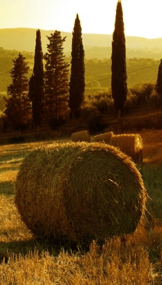 2D1N • From Florence: 2-Day Private Tuscany Tour with Hotel Stay