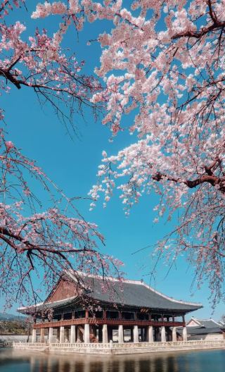 4D3N • Seoul summer hit: 8-person deluxe tour with prime-district hotels, 24-hour transfers, hanok charm, Gangnam fun, and a Han River sunset cruise