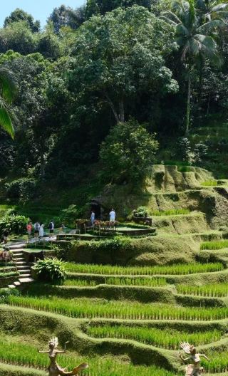 3D2N • Indonesia: Bali + Kuta: Tohpati Village + Tegenungan Waterfall + Tanah Lot + Nusa Dua banana boat ride + Uluwatu Temple