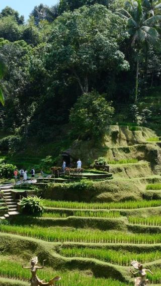 3D2N • Indonesia: Bali + Kuta: Tohpati Village + Tegenungan Waterfall + Tanah Lot + Nusa Dua banana boat ride + Uluwatu Temple