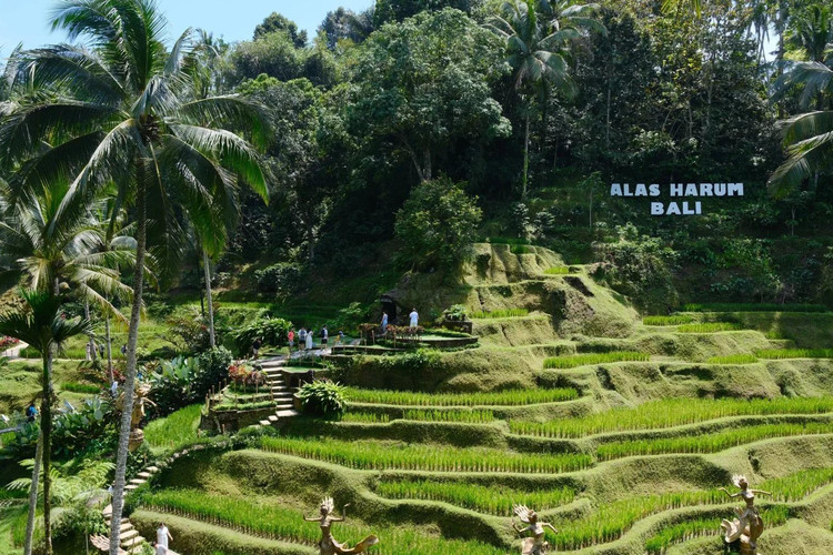 image_grid_sub1