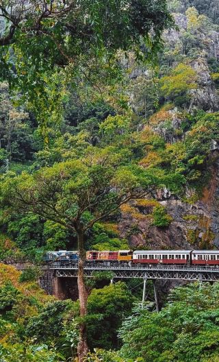 2D1N • Kuranda Rainforest + Great Barrier Reef Cruise, Australia