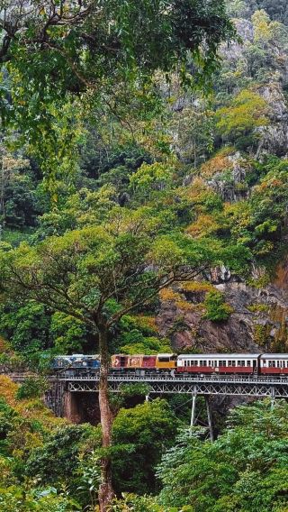 2D1N • Kuranda Rainforest + Great Barrier Reef Cruise, Australia