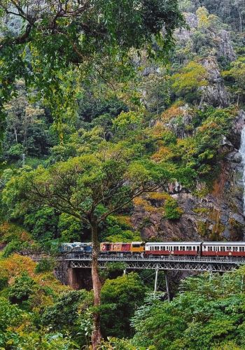 2D1N • Kuranda Rainforest + Great Barrier Reef Cruise, Australia