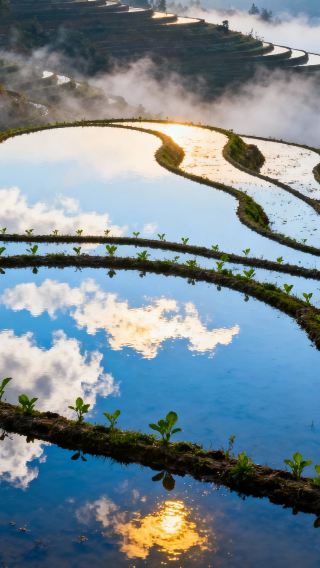 3D2N • Emperor Voyage: Guilin + Yangshuo + Li River Scenic Area + Longji Rice Terraces