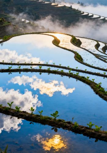 3D2N • Emperor Voyage: Guilin + Yangshuo + Li River Scenic Area + Longji Rice Terraces