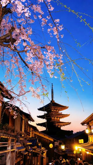 4日3晚 • 京都＋大阪｜探訪京都世界文化遺產清水寺